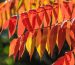 shutterstock_11959527199